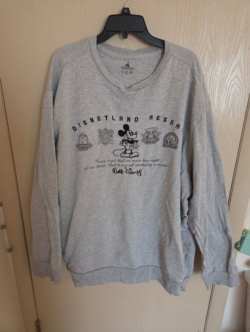 Disneyparks Disneyland Resort Gray Pullover Sweatshirt Adult Size XXL
